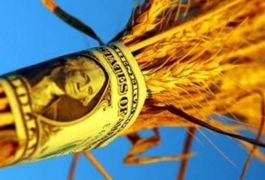 Профіцит зовнішньої торгівлі у Житомирській області зріс до 82 млн. доларів
Профіцит зовнішньої торгівлі у Житомирській області зріс до 82 млн. доларів
