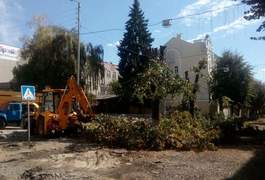 У Житомирі триває реконструкція. Зрізали 3 липи
У Житомирі триває реконструкція. Зрізали 3 липи
