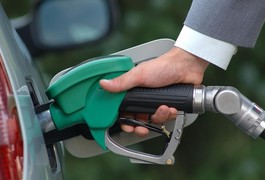 На чому заробляли АЗС Житомирщини у вересні
На чому заробляли АЗС Житомирщини у вересні