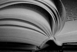 З учителів роблять алкоголіків, - Коцюбко
З учителів роблять алкоголіків, - Коцюбко