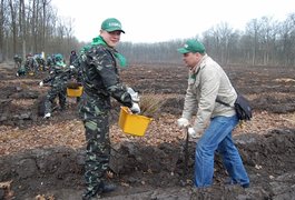Журналістського лісу на Житомирщині побільшає
Журналістського лісу на Житомирщині побільшає