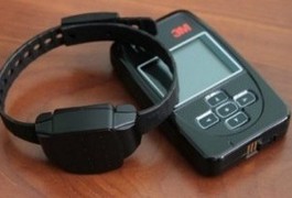 Заступника директора КП "Парк" посадили під домашній арешт
Заступника директора КП "Парк" посадили під домашній арешт