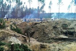 На Житомирщині з’явився монополіст з видобутку бурштину, - Розенблат
На Житомирщині з’явився монополіст з видобутку бурштину, - Розенблат