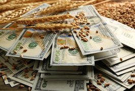 У першому кварталі 2017 року загальна капіталізація українських агрохолдингів досягла найвищого показника
У першому кварталі 2017 року загальна капіталізація українських агрохолдингів досягла найвищого показника
