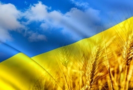 Проект "Слово, що єднає Україну" привітав житомирян з Днем Незалежності.ВІДЕО
Проект "Слово, що єднає Україну" привітав житомирян з Днем Незалежності.ВІДЕО