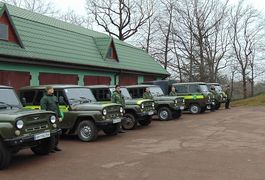 Крадіжки лісу у Житомирській області: на рейдові машини лісників встановлюють відеокамери. Фото
Крадіжки лісу у Житомирській області: на рейдові машини лісників встановлюють відеокамери. Фото