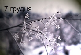 Що ми знаємо про цей день
Що ми знаємо про цей день