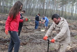 Обласна рада садила ліс Обласна рада садила ліс